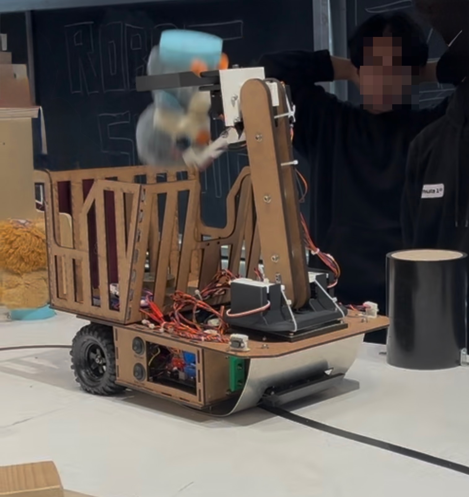 Robot collecting pet